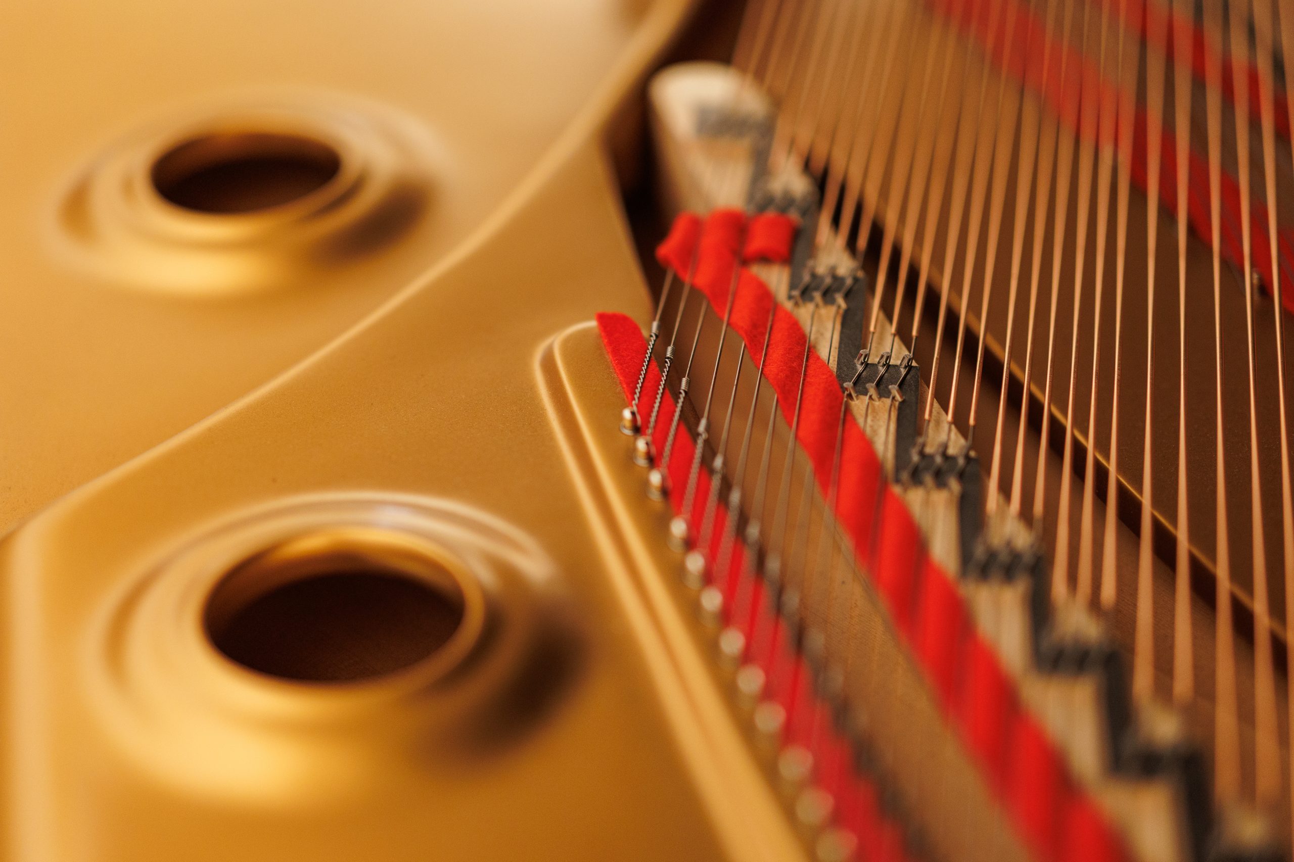 Moment artistic din cadrul proiectului cultural "Un elefant la oraș 2024"